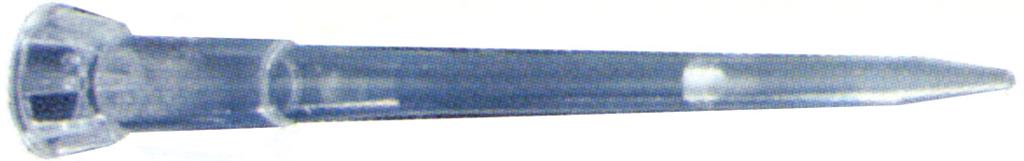 41071023_1.jpg
