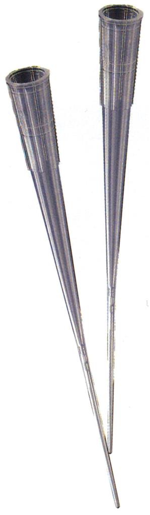 41071057_1.jpg