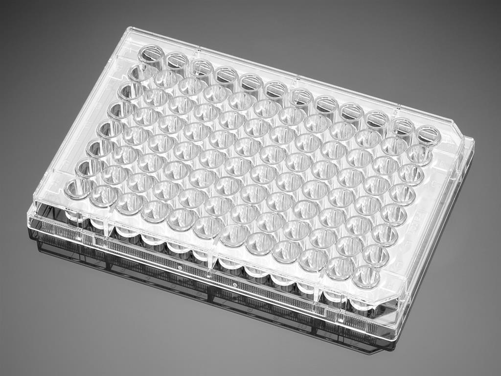 41111155_falcon96WellPolystyreneMicroplates_A.jpg