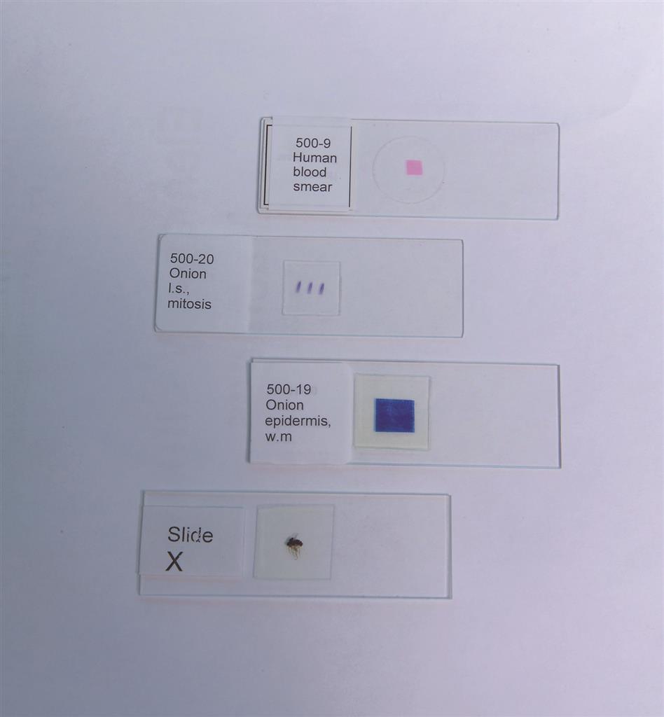 41231988_1.jpg