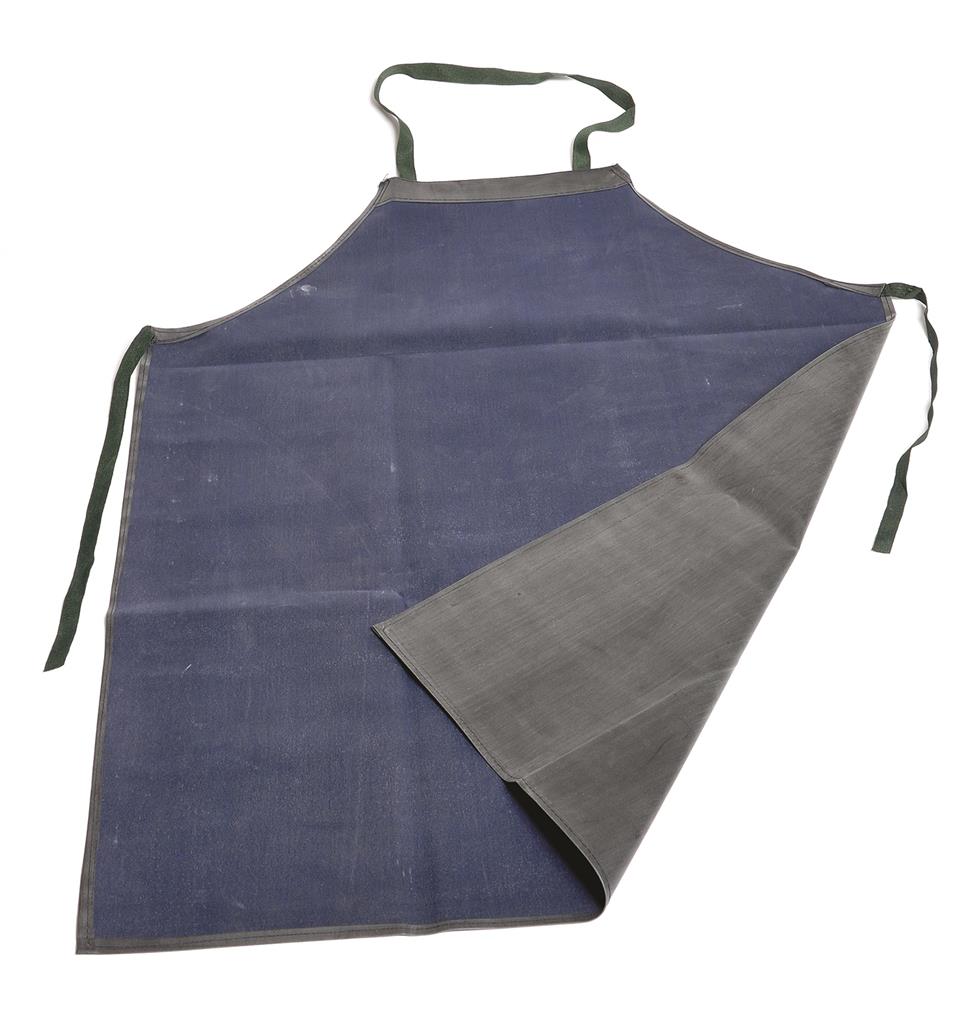 41232496_LBAP01 series Laboratory Aprons Alt.jpg