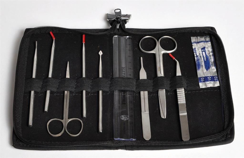 41233659_DSET10 Dissecting Set of 10.jpg