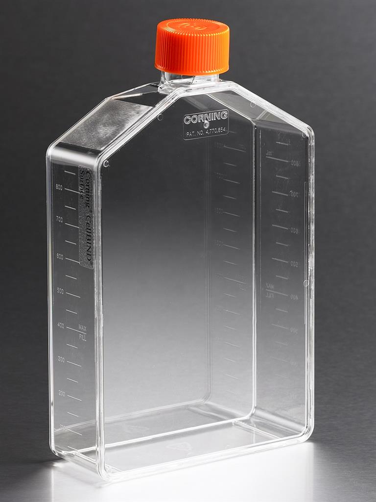 41241010_3293-flask-225-cm2-CellBIND-vent_A.jpg