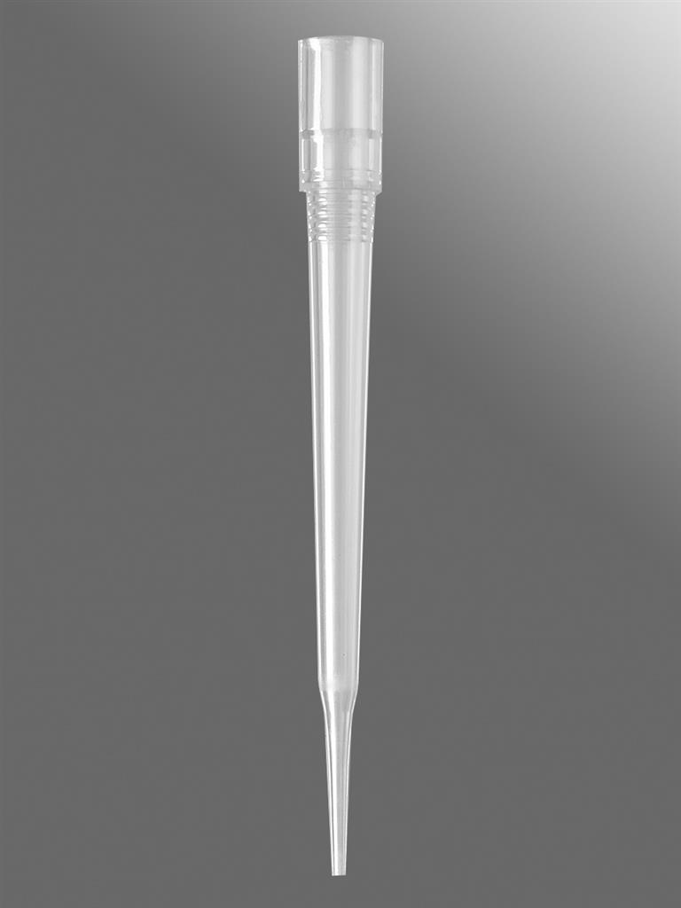 47011107_FX-384-XL-L-R-S_A.jpg