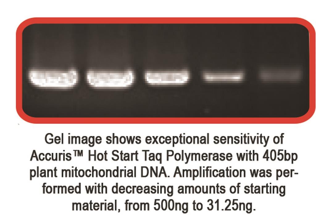 50022561_Accuris-HotStart-Taq-gel-and-caption.jpg