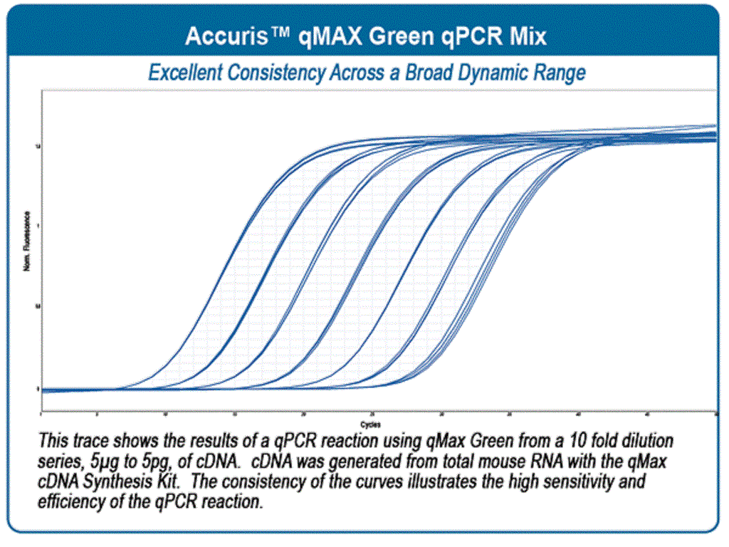 50022789_qmaxgreen3.jpg