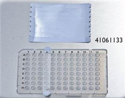 41061133_41061133.jpg