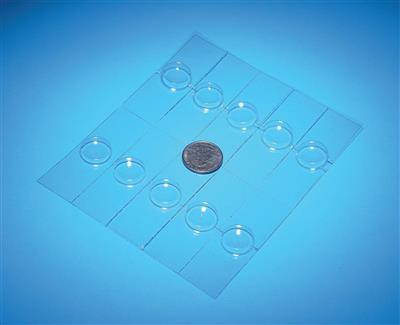41232508_CSPL10 Plastic Well Slides.jpg