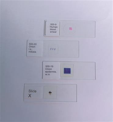 41233585_1.jpg
