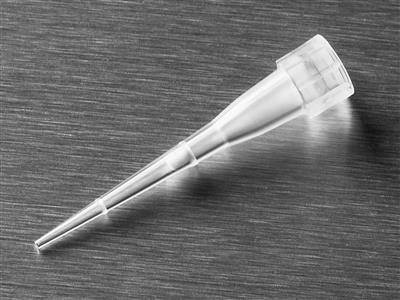 41241673_4801-Isotip-0.1-2.0-Gilson_A.jpg