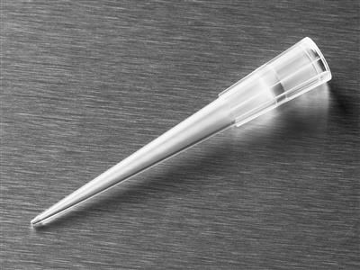 41241683_4823-Isotip-1-200-all_A.jpg