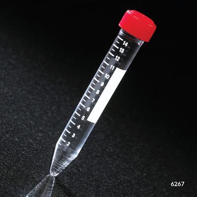 41351903_6267.jpg