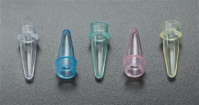 42012000_1.jpg
