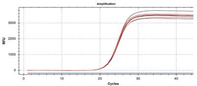 50022529_accuris_qmax_cdna2.jpg