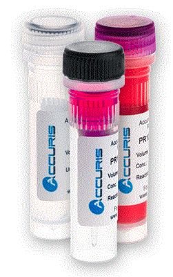 50022558_Accuris-PCR-Reagent-3-tubes.jpg