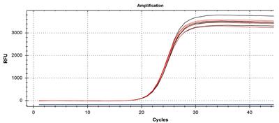 50022607_accuris_qmax_cdna2.jpg
