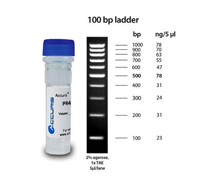 50022776_100-bp-ladder.jpg