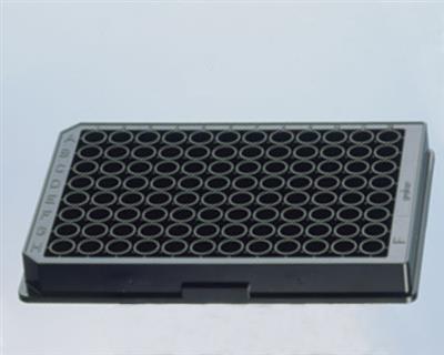 50051467_1.jpg