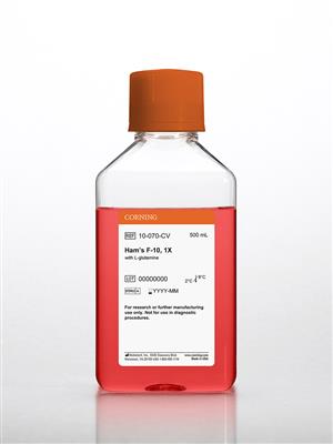 61211029_10-070-CV_A.jpg