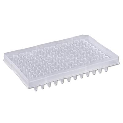 96-well PCR Plates, 0.2ml, Semi Skirted with Raise 61241359_P9602-SRR.jpg