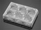 41245236_corningBioCoatGelatinPlates_A.jpg