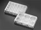 41245240_Biocoat-6-and-24-well-plates-354659_A.jpg